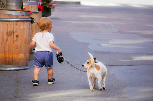 Unleash the Adventure: Why Every Aussie Dog Needs a Heavy Duty Retractable Dog Leash 🐾