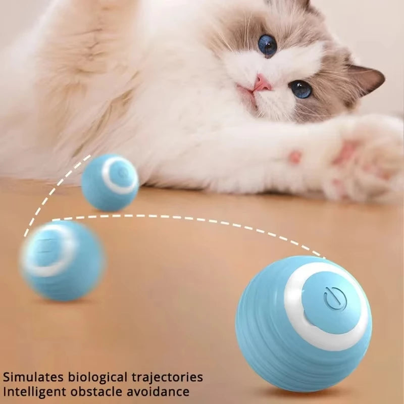 Magic Meow Ball: Best Interactive Self-Moving Cat Toy πΎπ