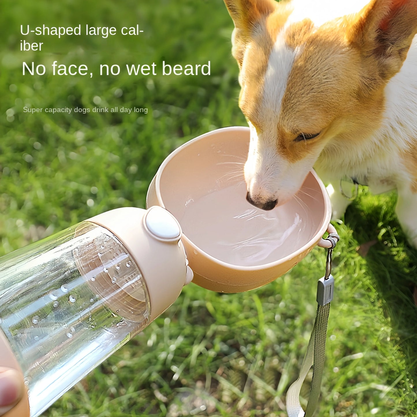 Portable Collapsible Dog Water Bowl & Pet Food Dispenser – Travel-Friendly Hydration Solution 🐾