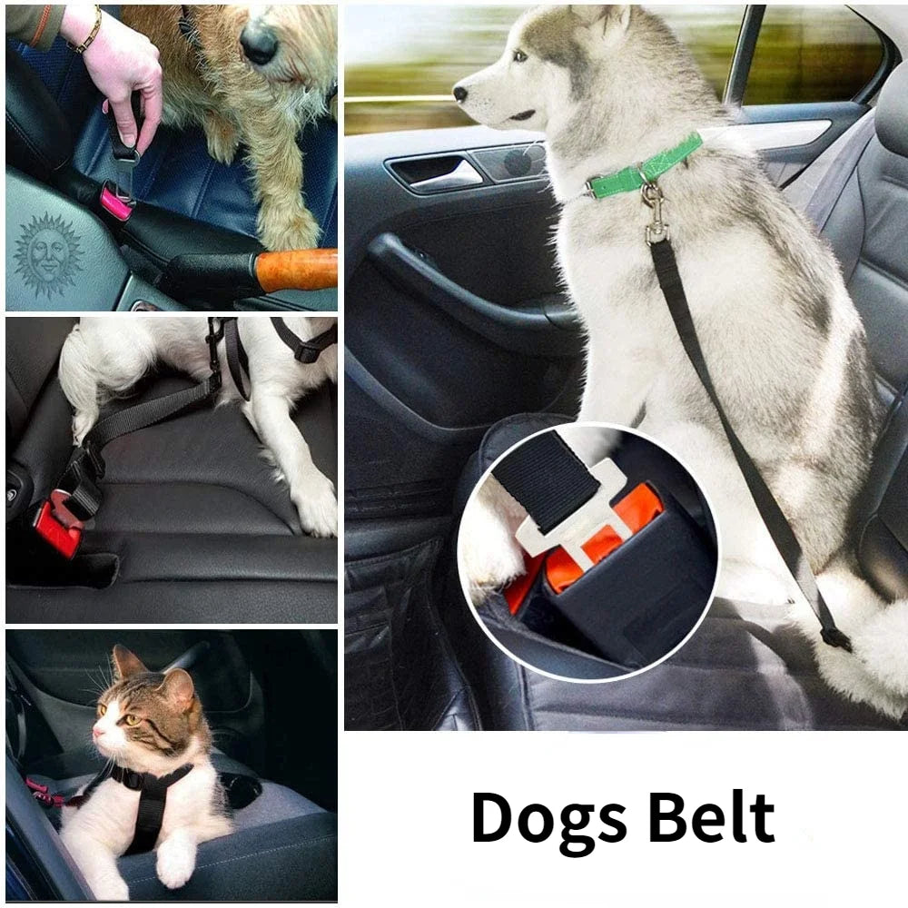 Buy Adjustable Dog Car Seat Belt – Best Pet Safety Harness, Cruise with Confidence! 🐾