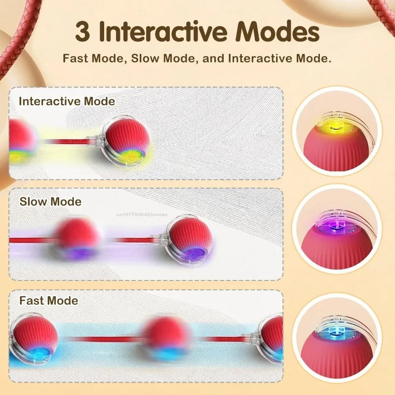 Interactive Magic Cat Ball – Electric Self-Moving Toy for Active Cats