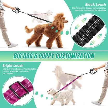 🌟  Dual Dog Leash with Shock Absorber – Double the Fun, Double the Control! 🐾