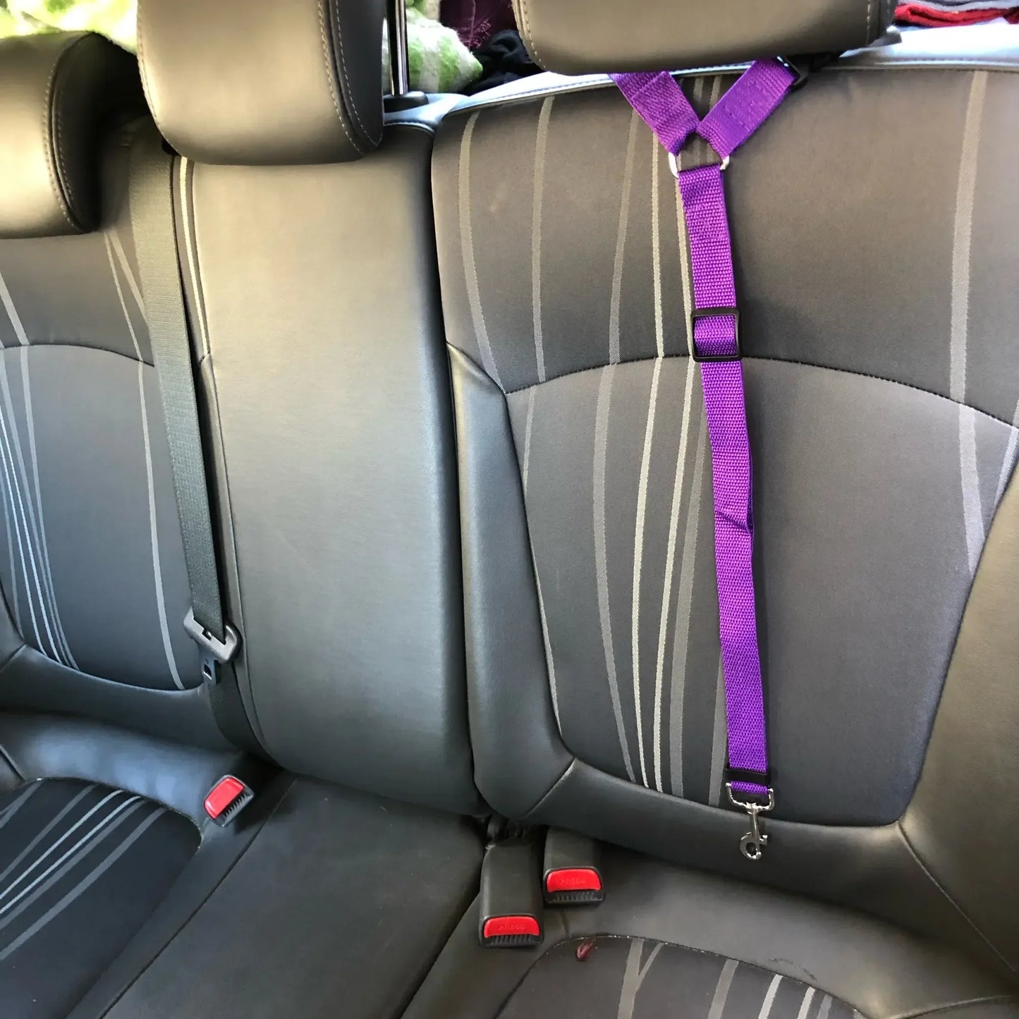 Adjustable Dog Seat Belt & Leash – Pet Car Restraint Harness for Safe Travel 🚗🐾