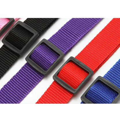 Adjustable Dog Seat Belt & Leash – Pet Car Restraint Harness for Safe Travel 🚗🐾