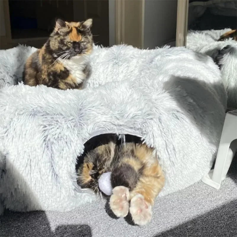 Fluffy Tunnel Cat Bed: Best Cozy Play Space for Indoor Cats! 😺✨