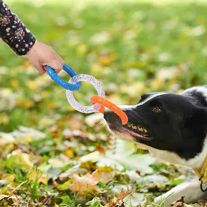 Durable Triple Ring Dog Chew Toy – Best Interactive Tug Toy 🐶🦷🎉