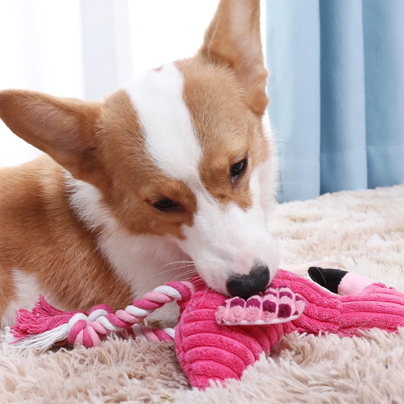 Animal Squeaky Toy