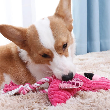 Animal Squeaky Toy