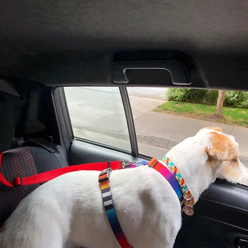 Adjustable Dog Seat Belt & Leash – Pet Car Restraint Harness for Safe Travel 🚗🐾