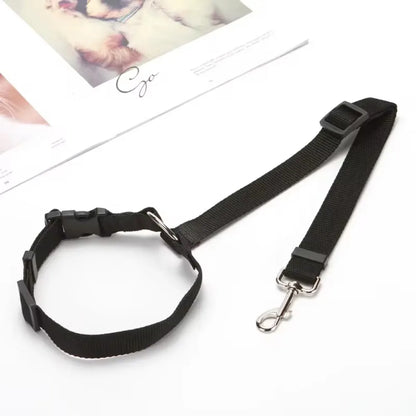 Adjustable Dog Seat Belt & Leash – Pet Car Restraint Harness for Safe Travel 🚗🐾