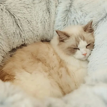 Fluffy Tunnel Cat Bed: Best Cozy Play Space for Indoor Cats! 😺✨