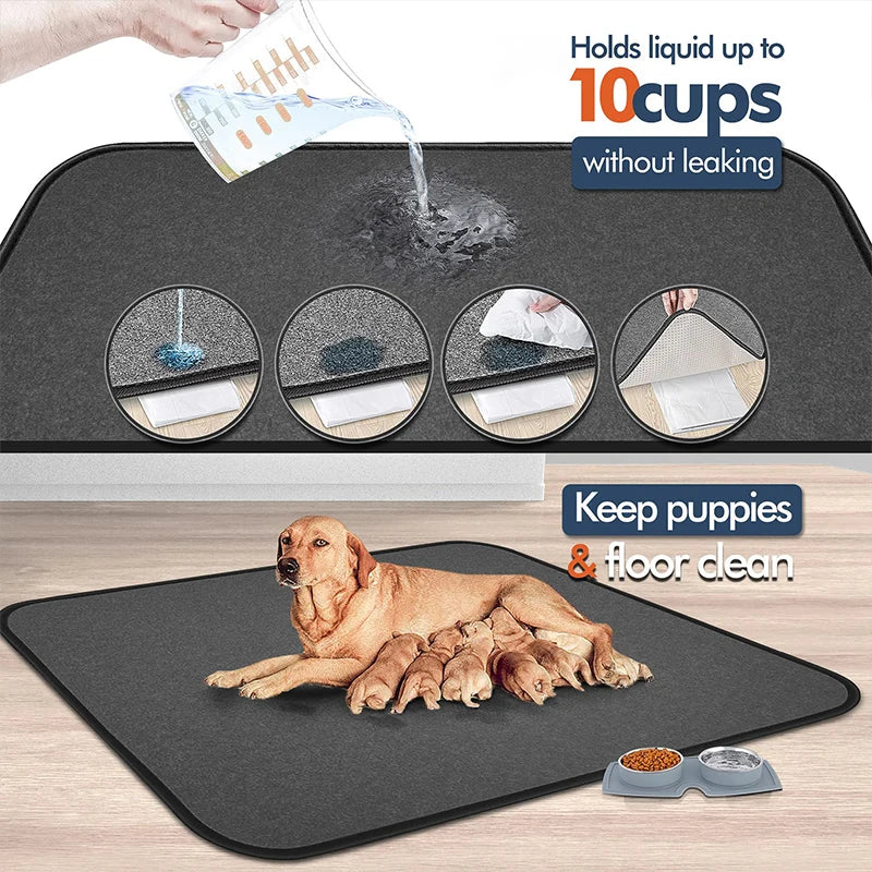 Reusable Waterproof Dog Pee Pad - Large & Non-Slip for Training & Comfort 🐾