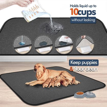 Reusable Waterproof Dog Pee Pad - Large & Non-Slip for Training & Comfort 🐾