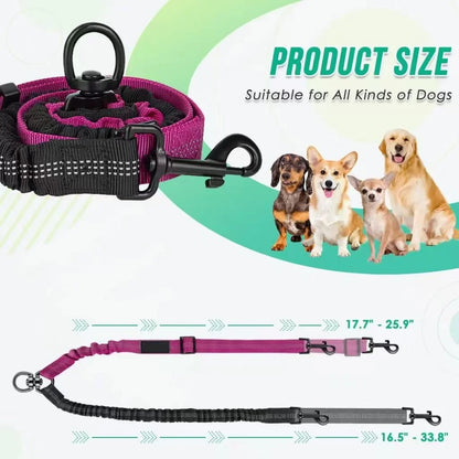 🌟  Dual Dog Leash with Shock Absorber – Double the Fun, Double the Control! 🐾