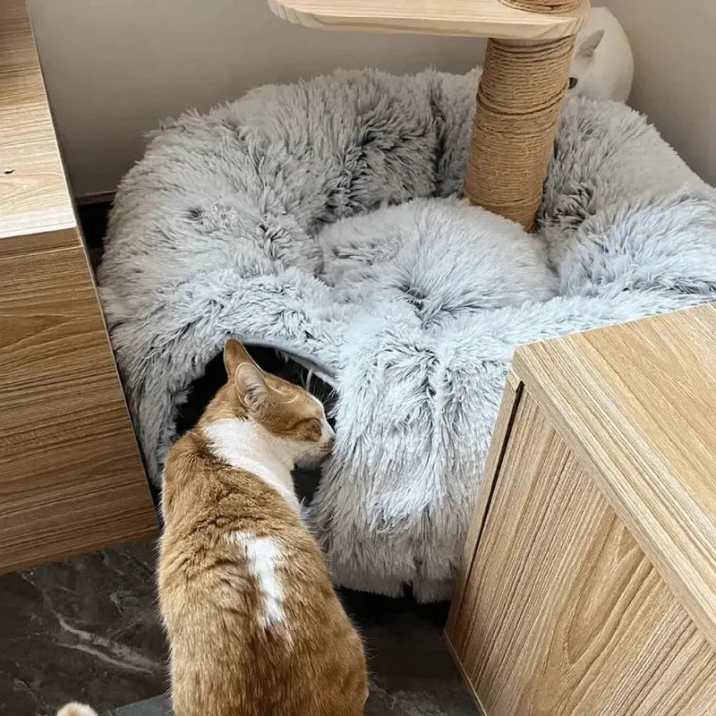Fluffy Tunnel Cat Bed: Best Cozy Play Space for Indoor Cats! 😺✨