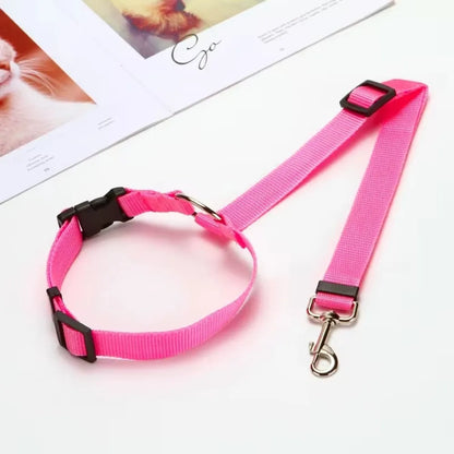 Adjustable Dog Seat Belt & Leash – Pet Car Restraint Harness for Safe Travel 🚗🐾