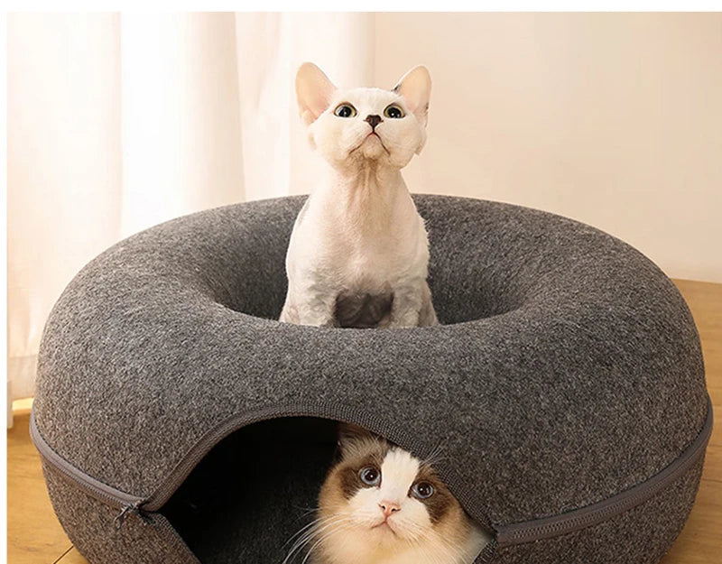 Double Cat Tunnel Bed & Donut Nest – Best Cozy Play Space