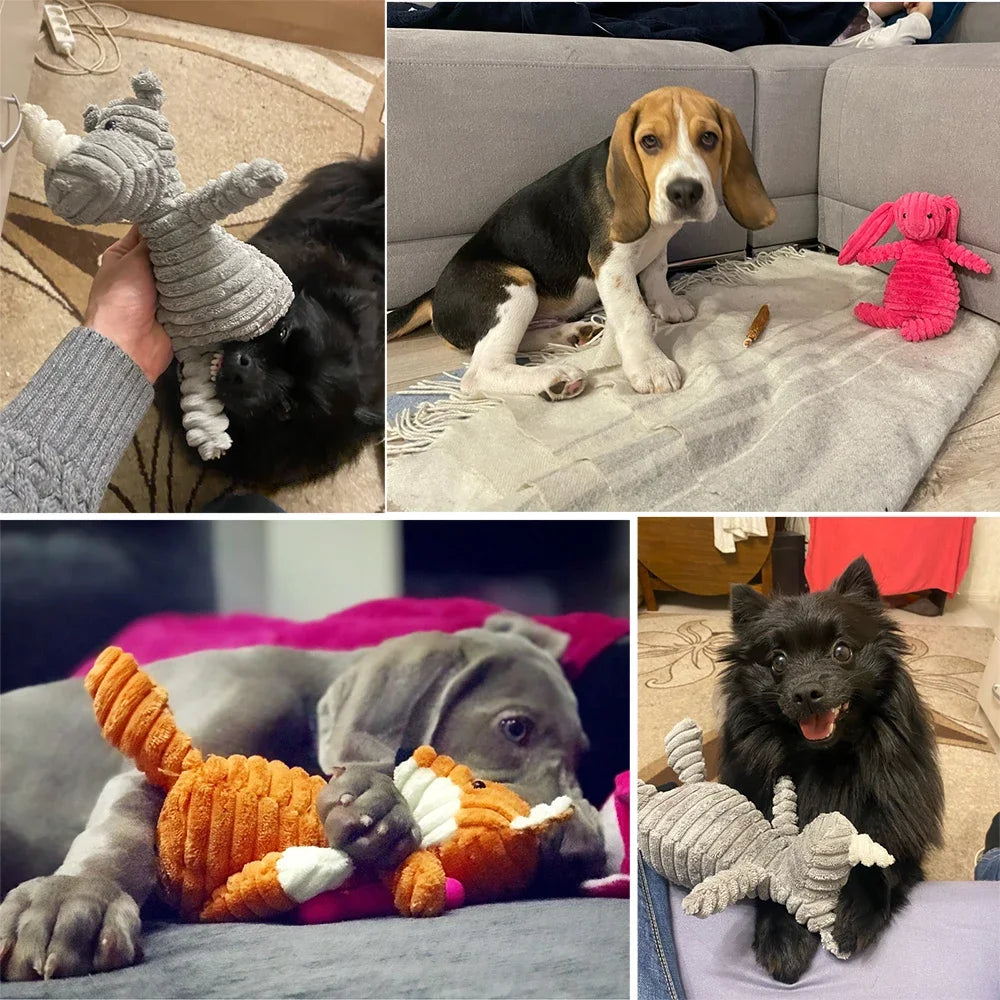 Squeaky Dog Toys
Dog Chew Toys
Plush Dog Toys
Durable Dog Toys
Interactive Dog Toys
Chew Toys for Small Dogs
Squeaky Plush Dog Toy
Dog Toys for Small Breeds
Dental Chew Toys
Tough Dog Chew Toys