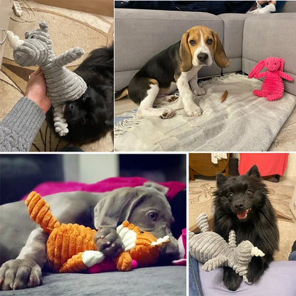 Squeaky Dog Toys
Dog Chew Toys
Plush Dog Toys
Durable Dog Toys
Interactive Dog Toys
Chew Toys for Small Dogs
Squeaky Plush Dog Toy
Dog Toys for Small Breeds
Dental Chew Toys
Tough Dog Chew Toys