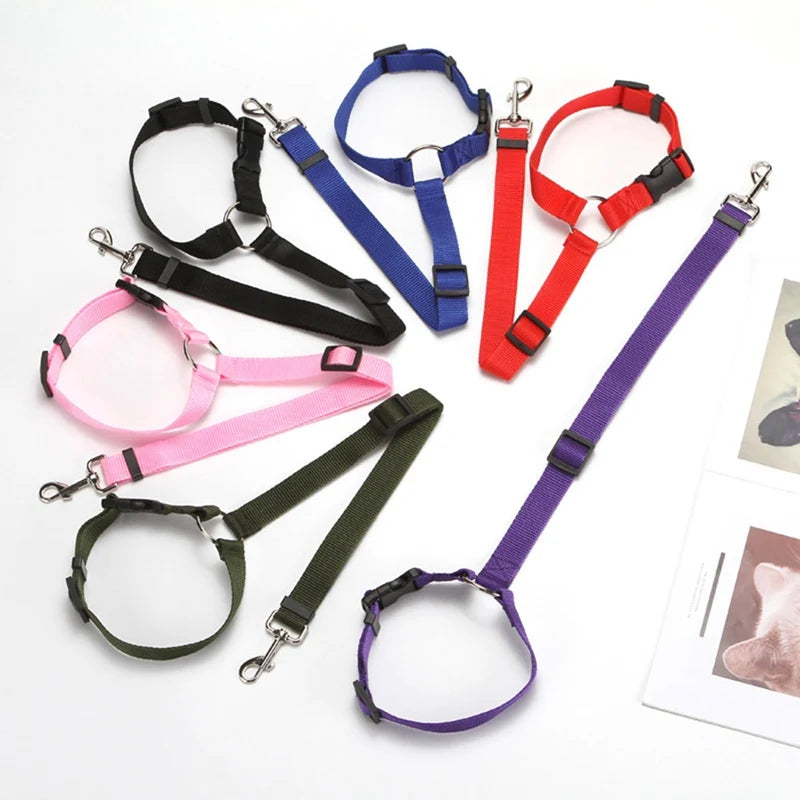 Adjustable Dog Seat Belt & Leash – Pet Car Restraint Harness for Safe Travel 🚗🐾