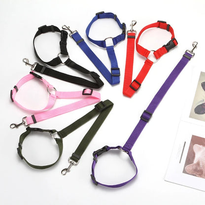 Adjustable Dog Seat Belt & Leash – Pet Car Restraint Harness for Safe Travel 🚗🐾