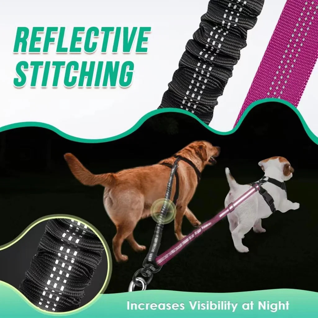 🌟  Dual Dog Leash with Shock Absorber – Double the Fun, Double the Control! 🐾