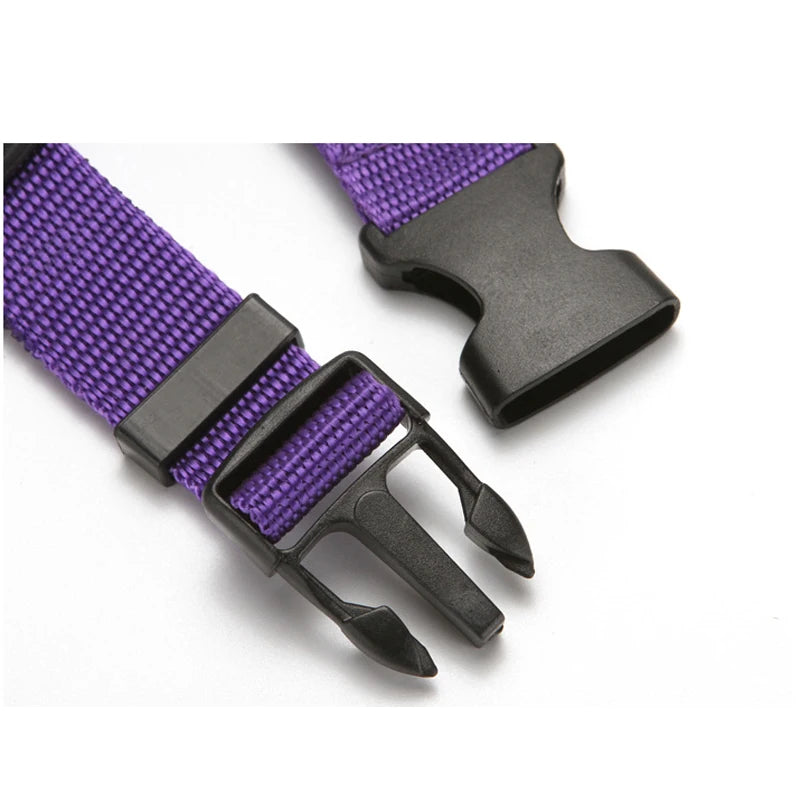 Adjustable Dog Seat Belt & Leash – Pet Car Restraint Harness for Safe Travel 🚗🐾