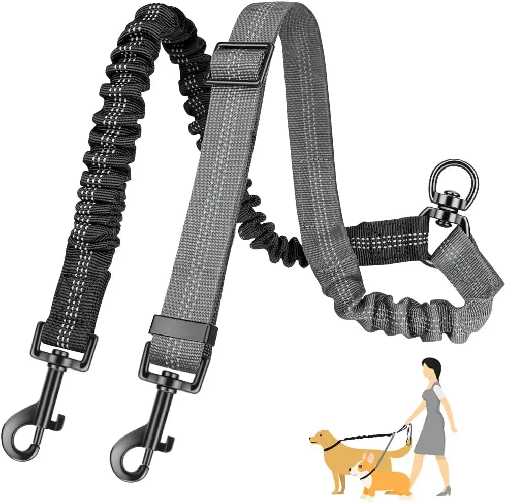 🌟  Dual Dog Leash with Shock Absorber – Double the Fun, Double the Control! 🐾