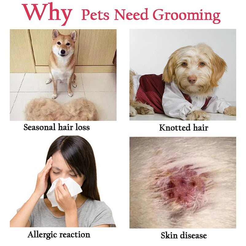 Pet Supplies Near Me 
Dog Grooming
Pet Grooming
Cat Grooming
Dog Nail Clippers
