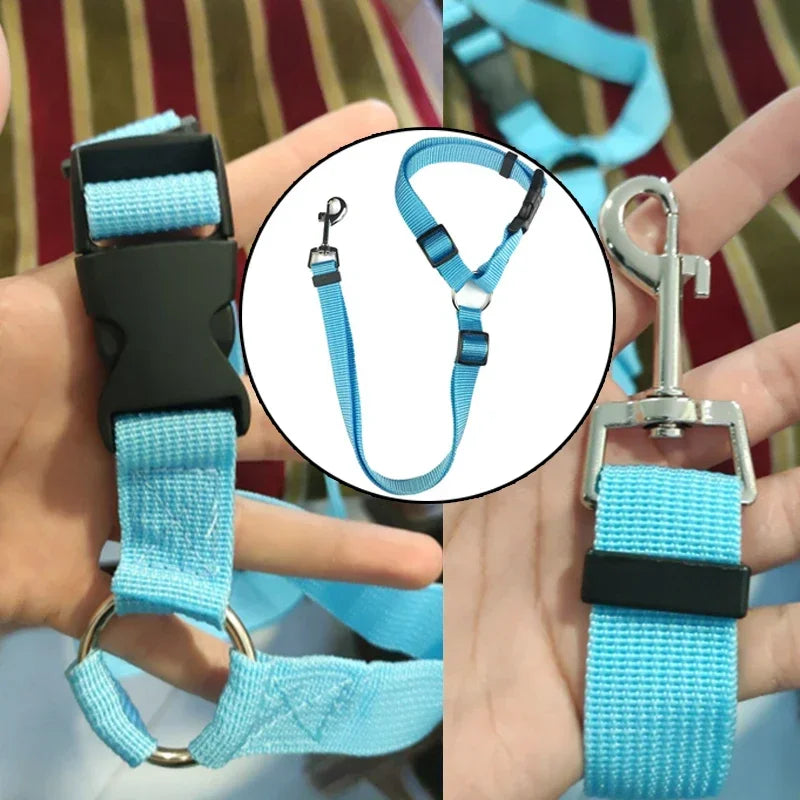 Adjustable Dog Seat Belt & Leash – Pet Car Restraint Harness for Safe Travel 🚗🐾
