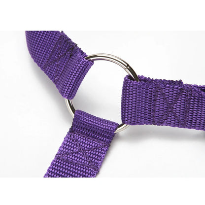 Adjustable Dog Seat Belt & Leash – Pet Car Restraint Harness for Safe Travel 🚗🐾